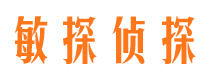 龙口侦探调查公司